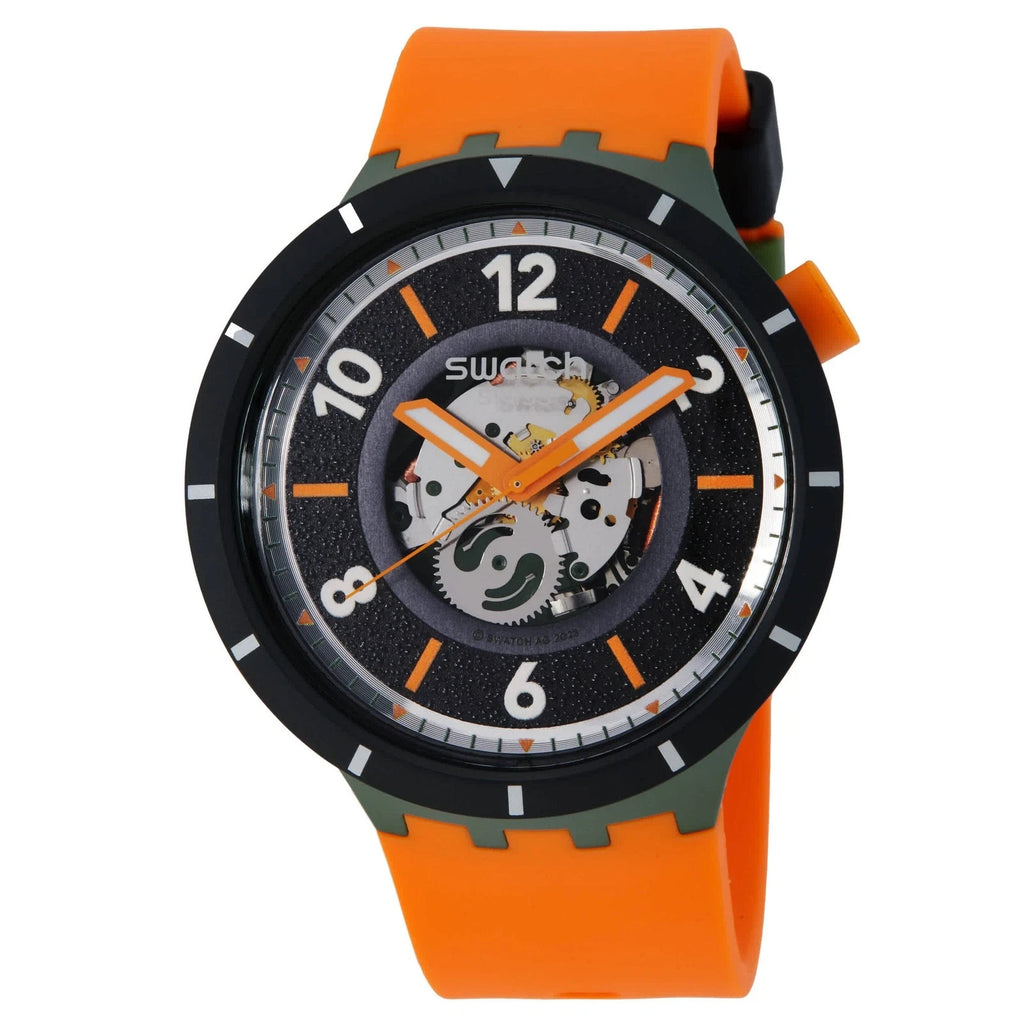 Swatch Power Of Nature Fall-Iage Quartz Black Dial SB03G107 Men's Watch