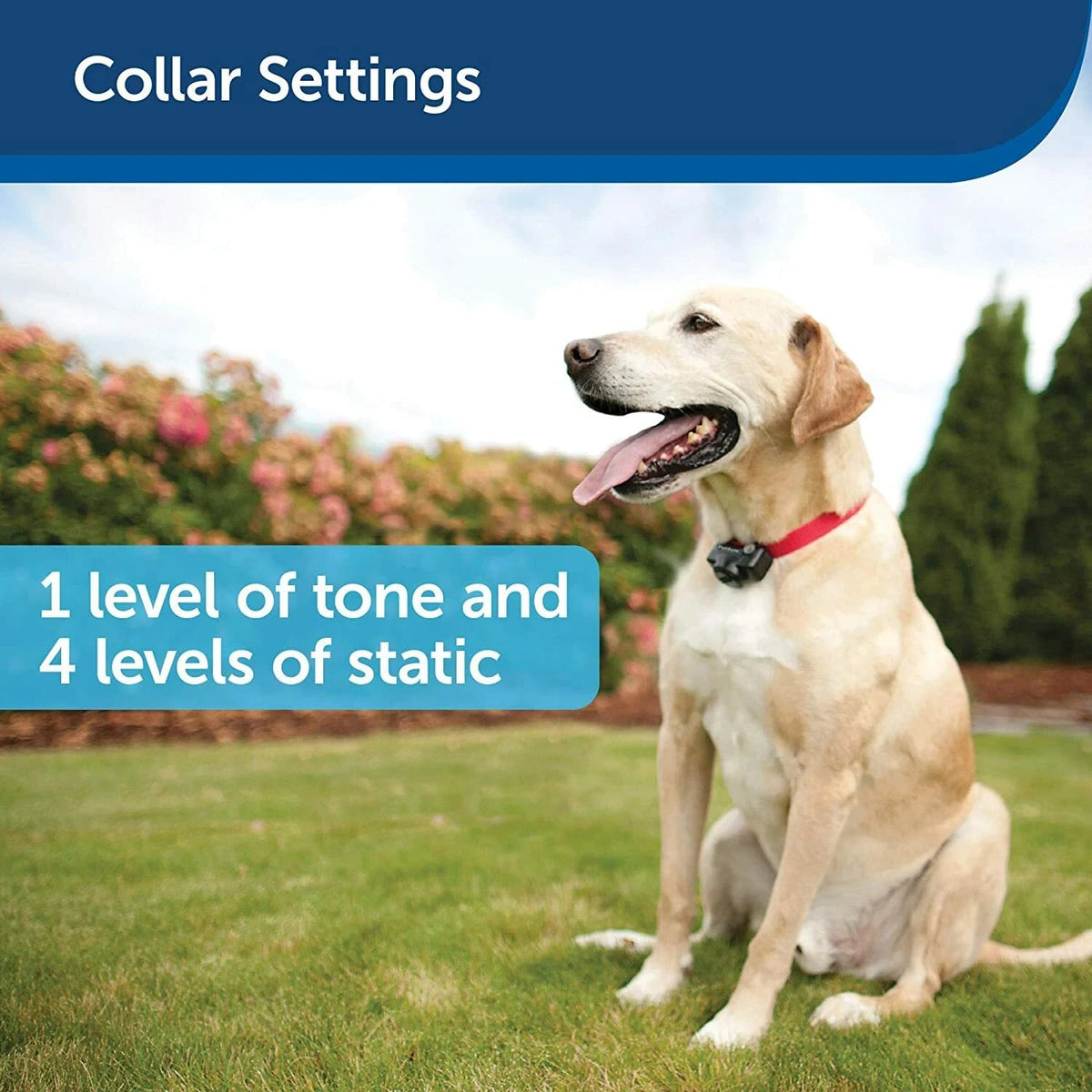 PetSafe In-Ground Fence Deluxe UltraLight Dog Collar Pul 275 Receiver One RFA-67 – view 3