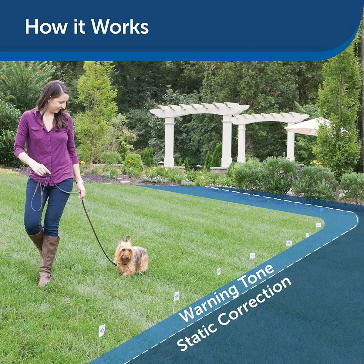 PetSafe In-Ground Fence Deluxe UltraLight Dog Collar Pul 275 Receiver One RFA-67 – view 4